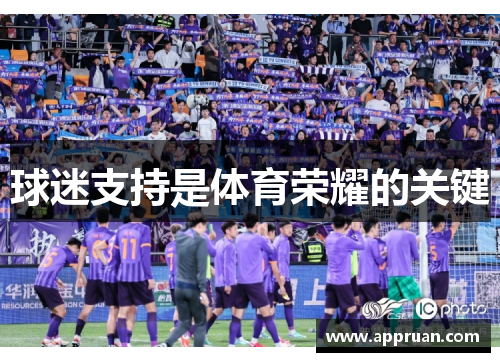球迷支持是体育荣耀的关键